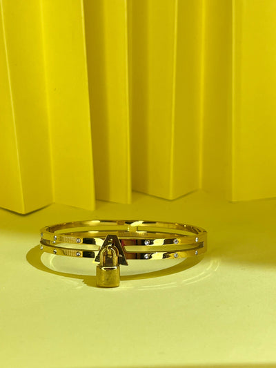 STAINLESS STEEL LOCK STYLE ARMLETS